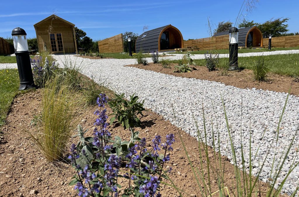 Rural Glamping Planting Scheme, The Beeches