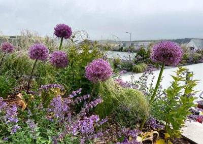Contemporary Coastal Garden