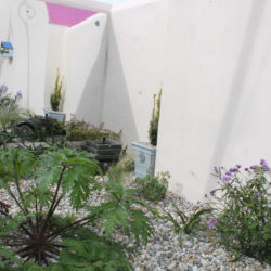 gallery_2