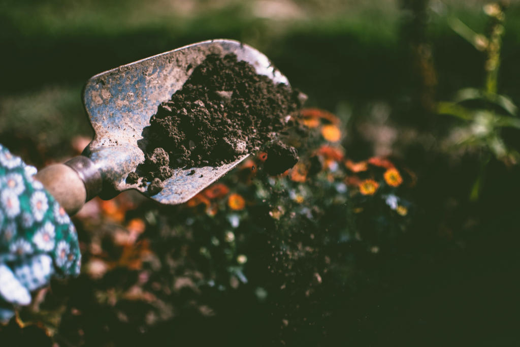 Soil